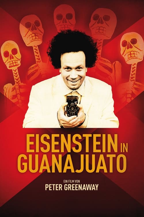 Eisenstein in Guanajuato cover