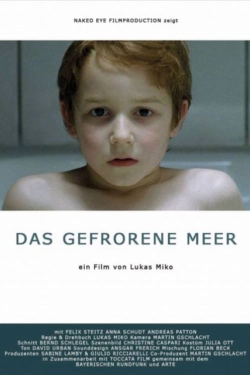 Das gefrorene Meer cover