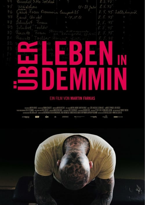 Über Leben in Demmin cover