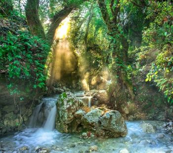 Dschungel Jumanji Wasserfall