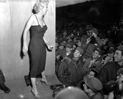 Die Erfolge von Marilyn Monroe