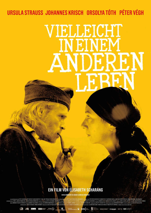 Vielleicht in einem anderen Leben cover