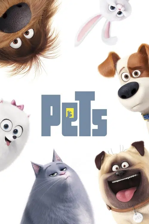 Pets cover
