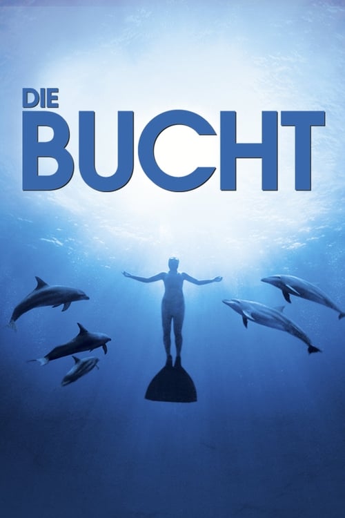 Die Bucht cover