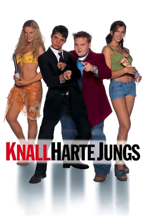 Knallharte Jungs cover
