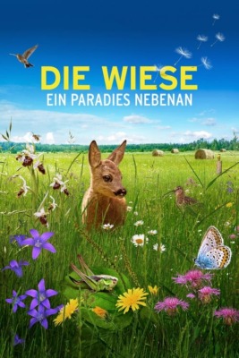Die Wiese - Ein Paradies nebenan
