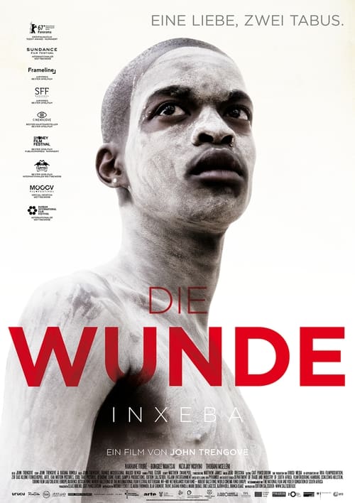 Die Wunde cover